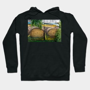 Barn Doors Art Hoodie